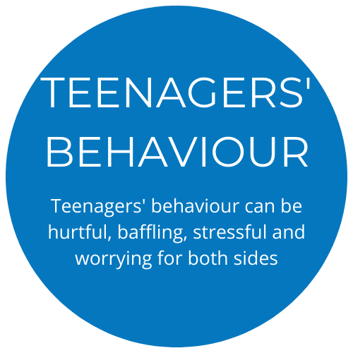 Teenagers behaviour mental health counsellor